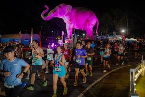 BIB: 
                            <button type="button" onclick="openModal(26552332)" class="btn btn-primary btn-sm float-right btn-popup" data-toggle="modal" data-target=".modal-high-quality">
                        <i class="fas fa-shopping-cart"></i> Add to Cart
                    </button>
                                            <button type="button" onclick="isThisMe(26552332, true)" class="btn btn-success btn-sm float-right btn-popup btn-isme hidden" data-toggle="tooltip" data-placement="bottom" title="นี่คือรูปของคุณใช่ไหม คลิกที่นี่เพื่อเอาเข้าอัลบั้ม">
                        <i class="fas fa-plus"></i> Add to album
                    </button>
                    <button type="button" onclick="isThisMe(26552332, false)" class="btn btn-warning btn-sm float-right btn-popup btn-isnotme hidden">
                        <i class="fas fa-ban"></i> Remove from album
                    </button>